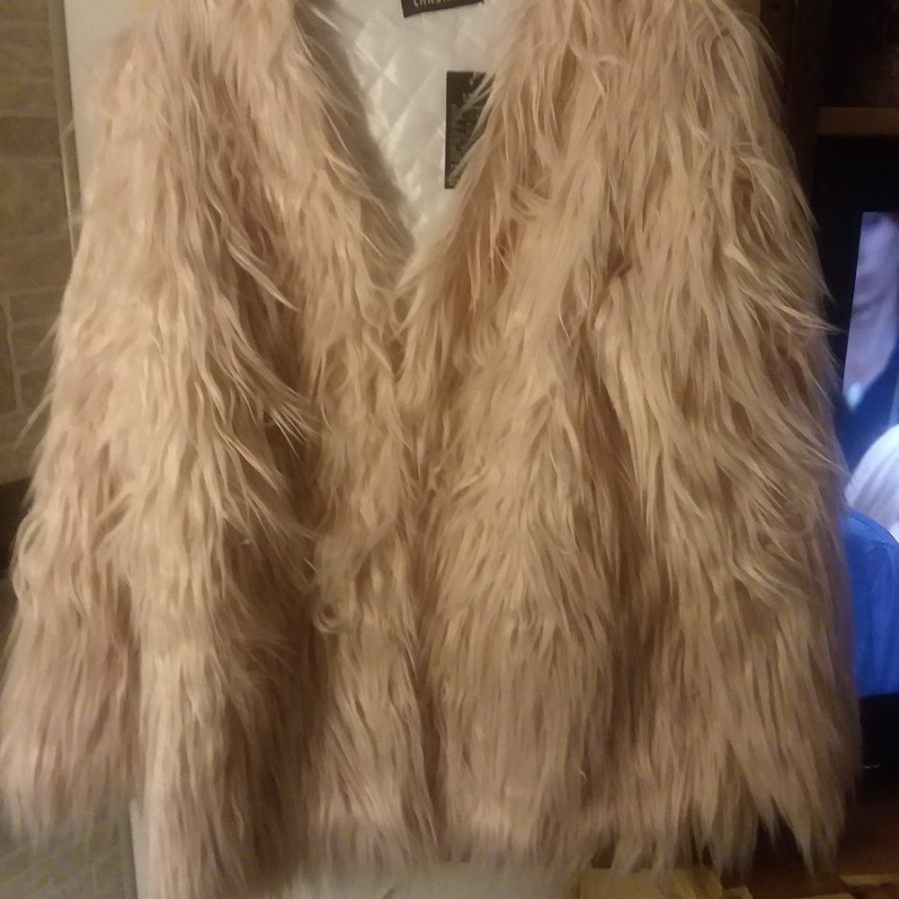 Soft faux fur light pink jacket. Tag says XXL but fits size large. Runs small